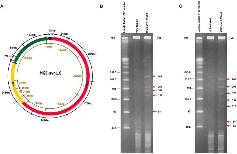 Figure 3.