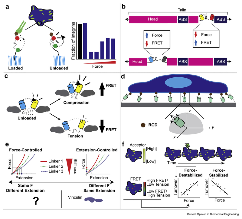 Figure 4: