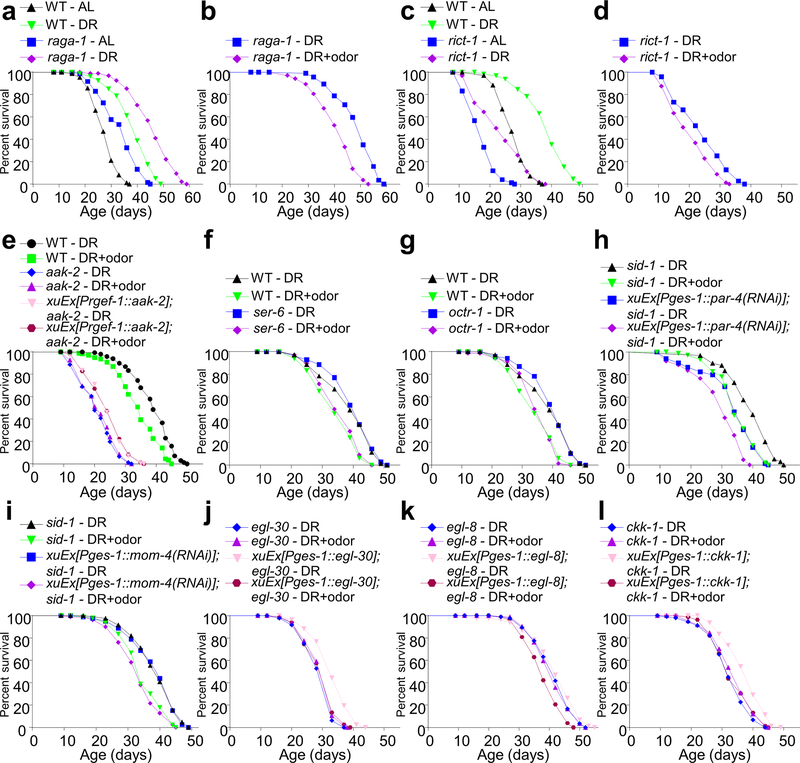 Extended Data Fig. 5