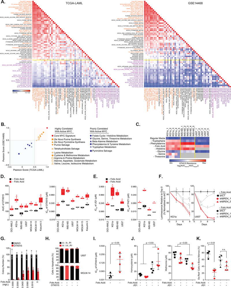 The folate cycle enzyme MTHFR is a critical regulator of cell response ...