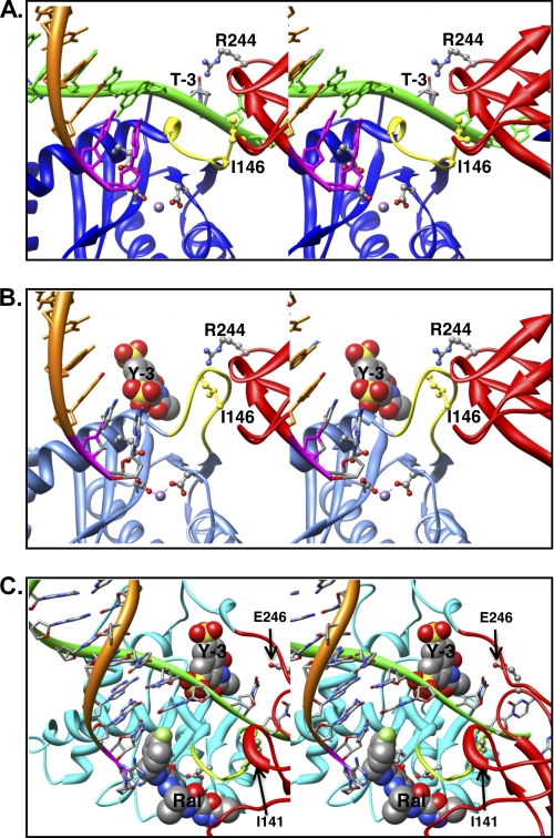 FIGURE 7.