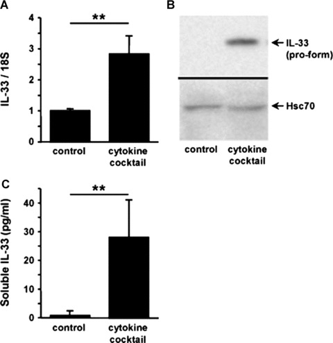 Fig 10