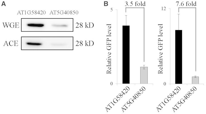 Figure 10.