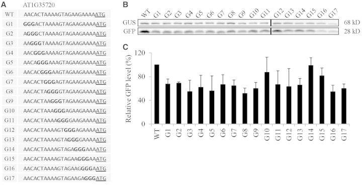 Figure 5.