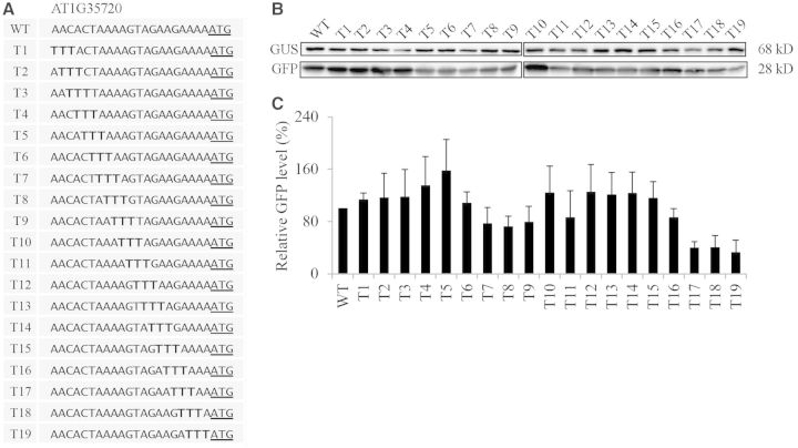 Figure 7.