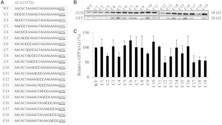 Figure 6.