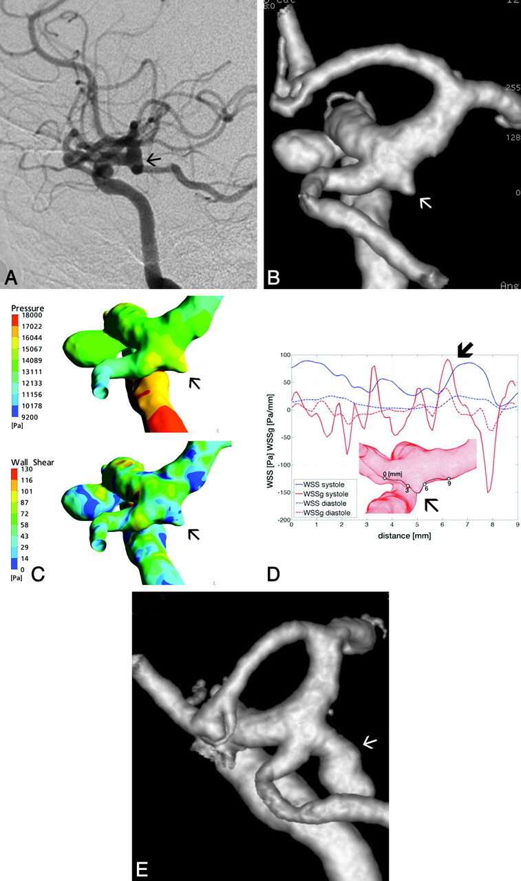 Fig 4.