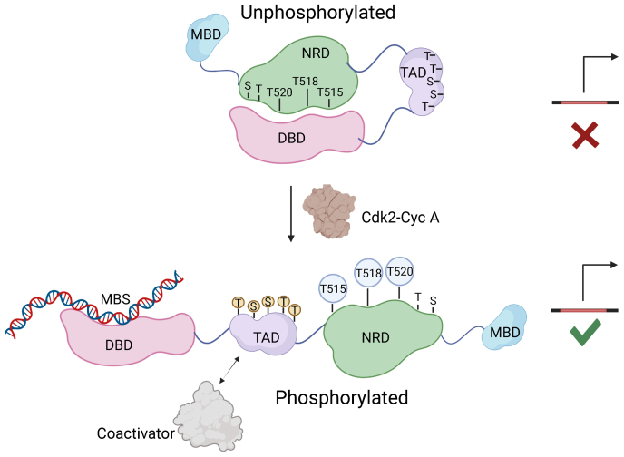 Figure 6