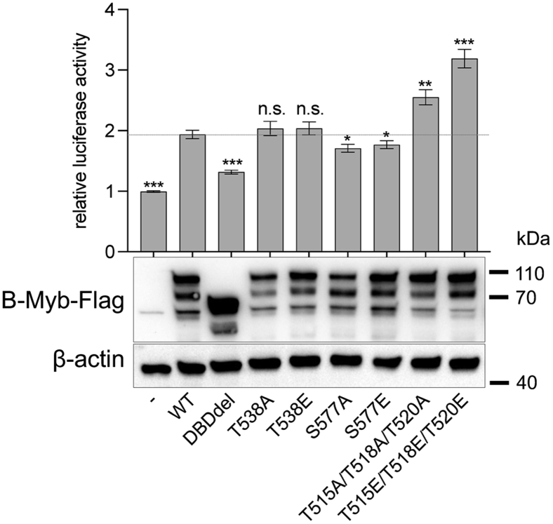 Figure 5