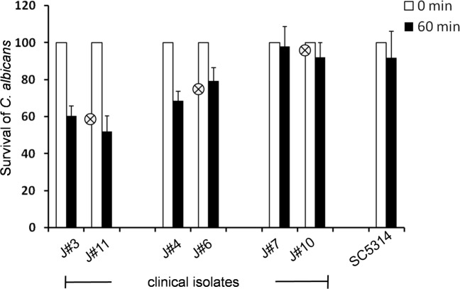 Fig 4