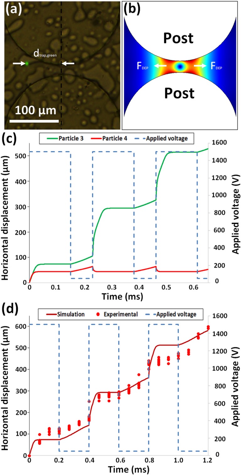 FIG. 2.