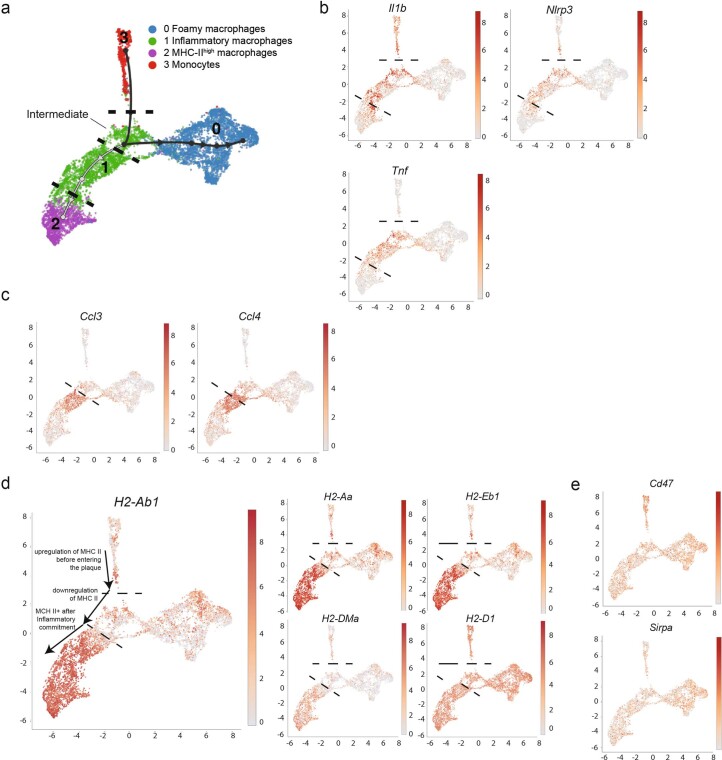 Extended Data Fig. 2