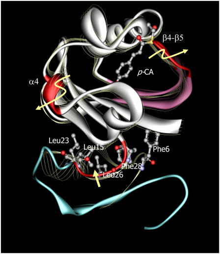 FIGURE 9