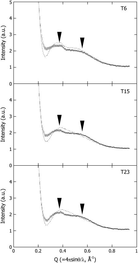 FIGURE 3