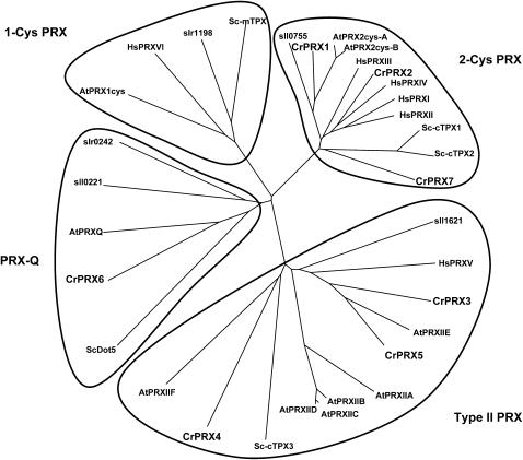 Figure 2.—