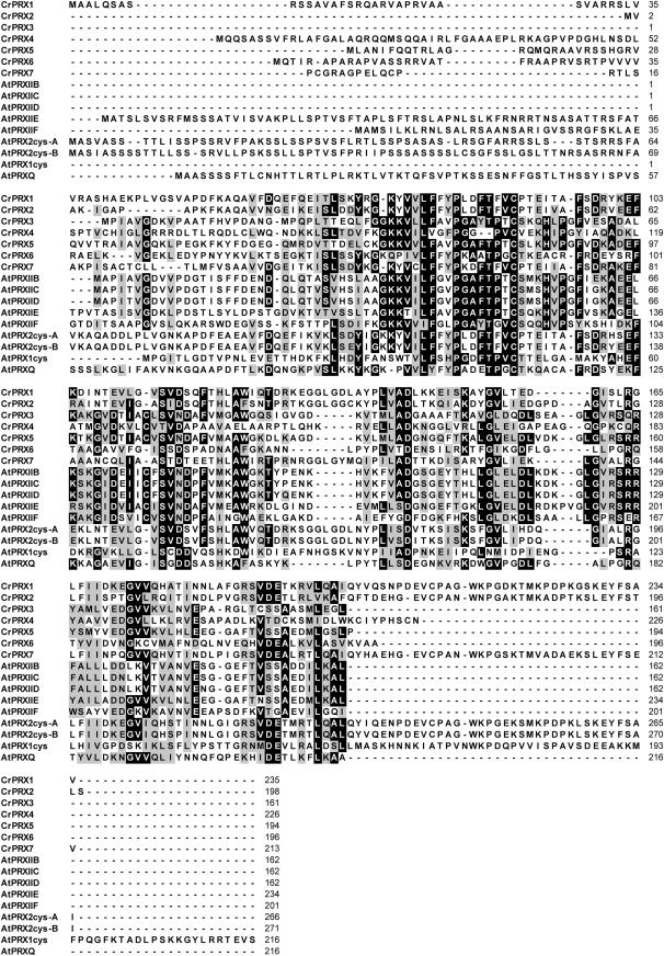 Figure 1.—