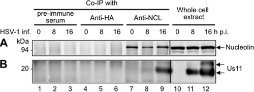 Fig 5