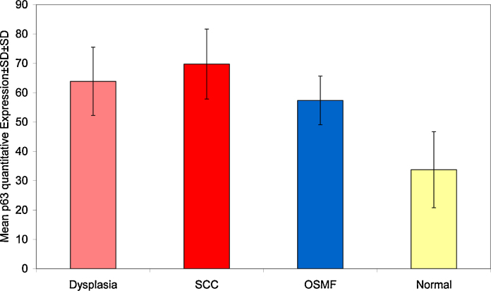 Graph 2