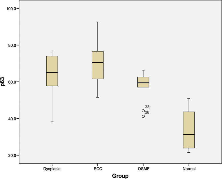 Graph 3