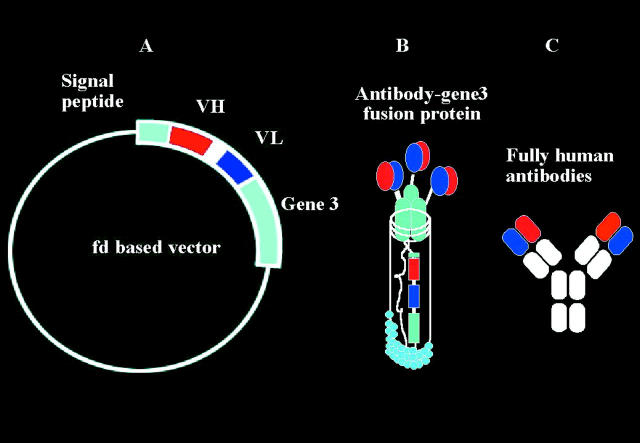 Figure 2  