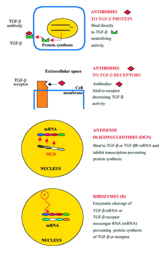 Figure 1  