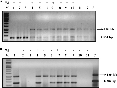 FIG. 5.