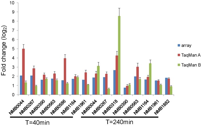 Figure 5