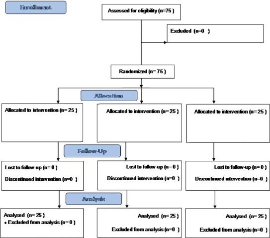 Consort flow diagram