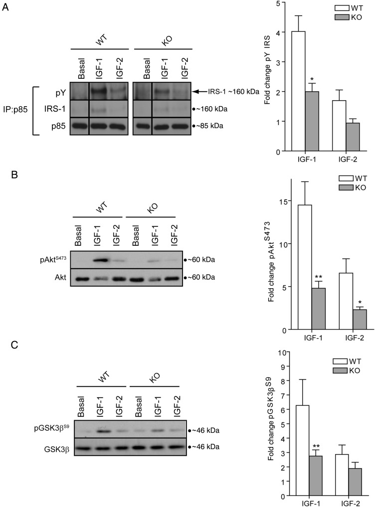 Figure 5