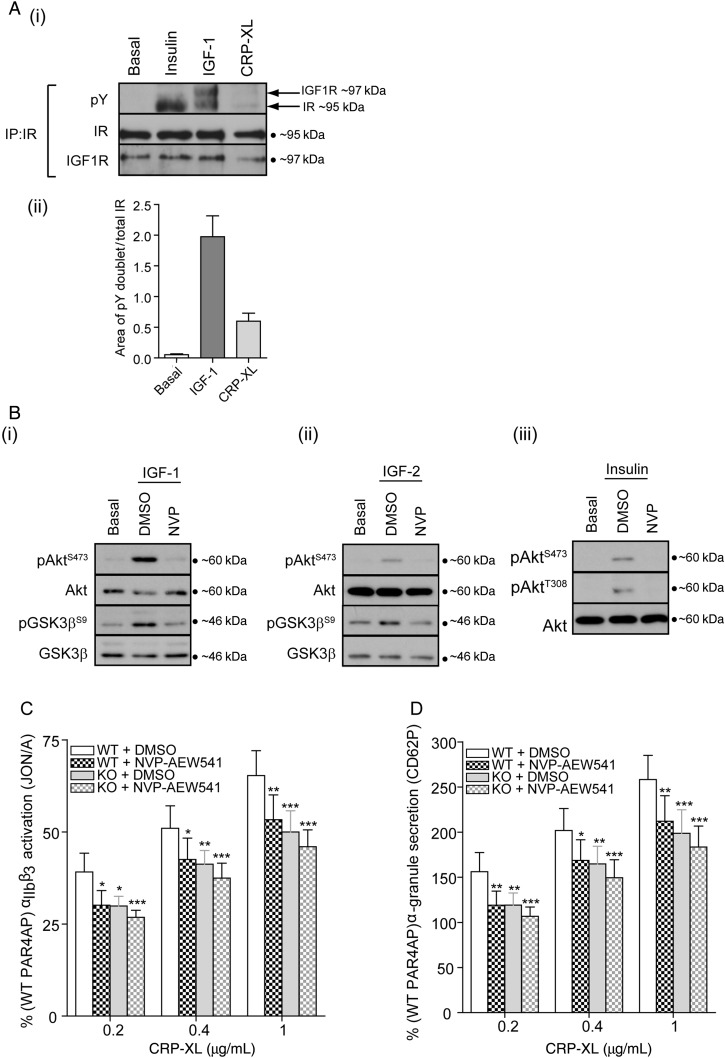 Figure 7