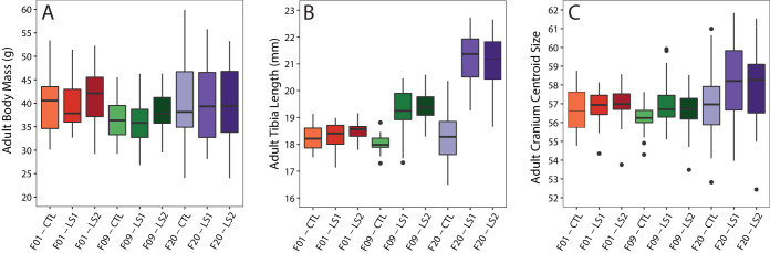 Figure 1—figure supplement 1.