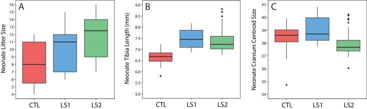 Figure 4—figure supplement 1.