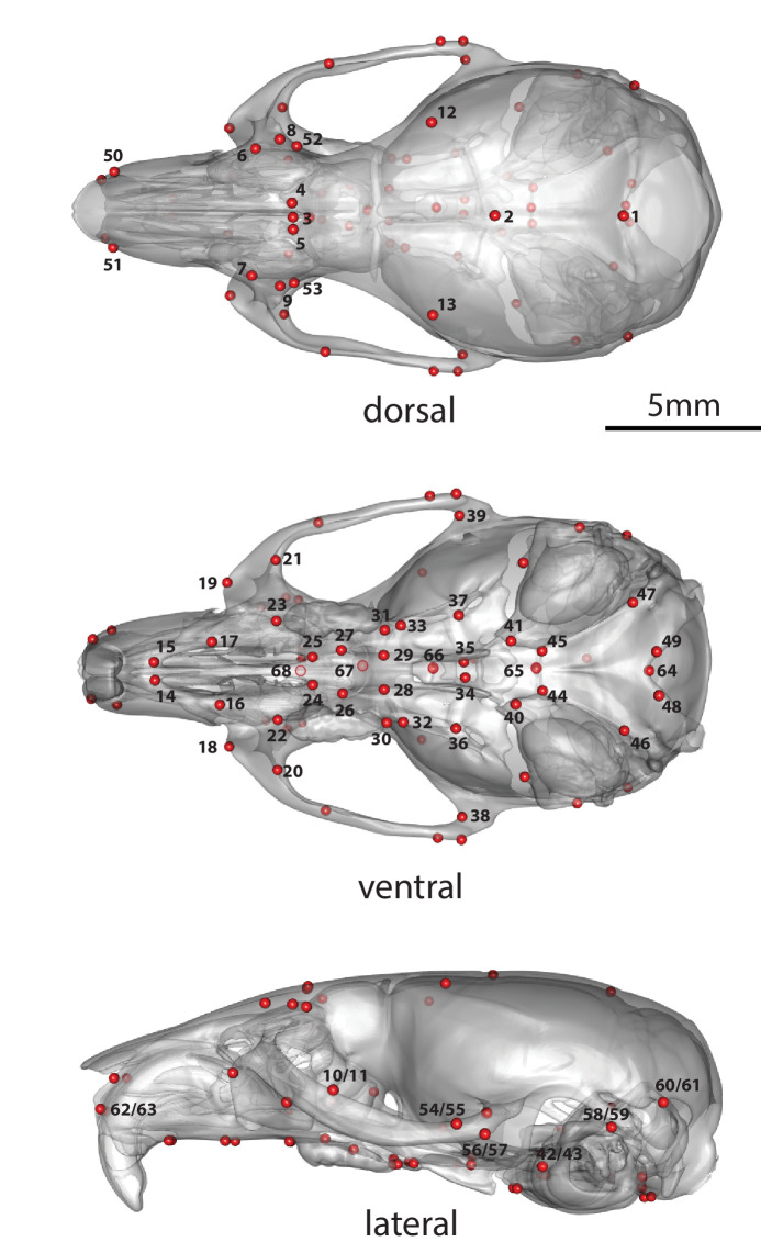 Figure 1—figure supplement 4.