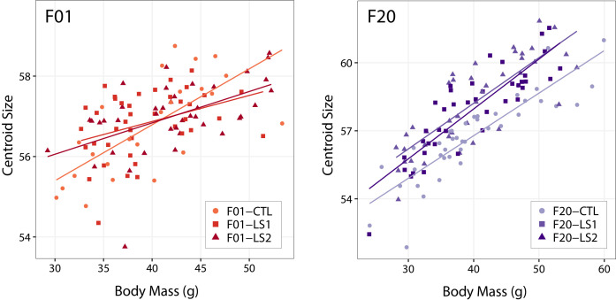 Figure 1—figure supplement 2.