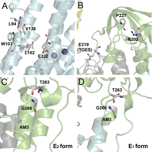 FIGURE 12.