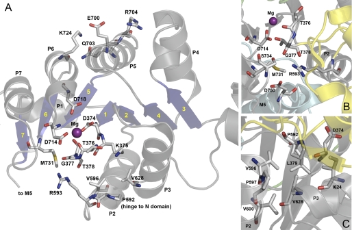 FIGURE 10.