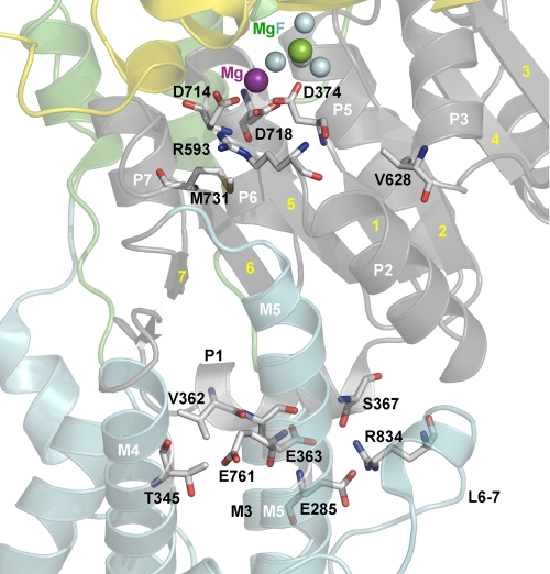 FIGURE 11.