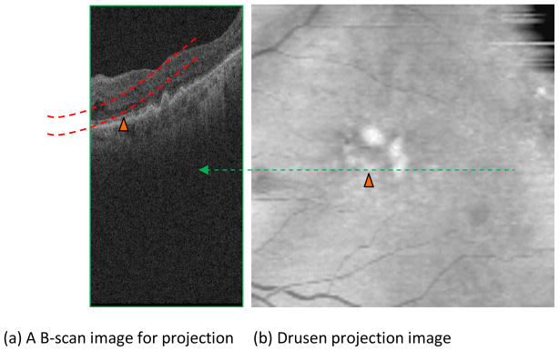 Fig. 6