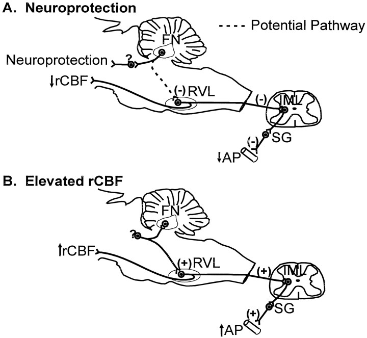 Fig. 9.