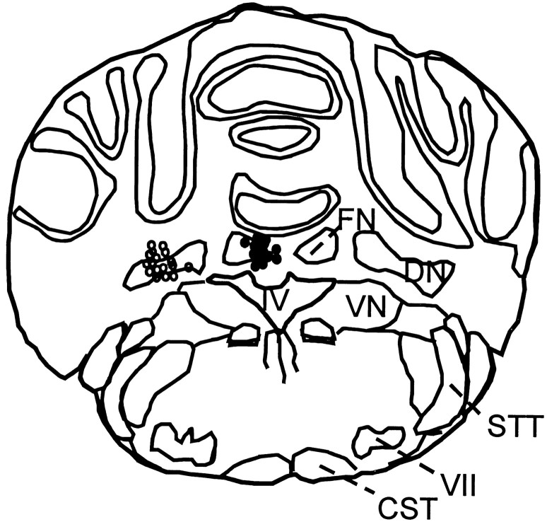 Fig. 3.