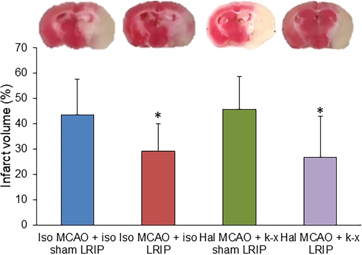 Fig 4