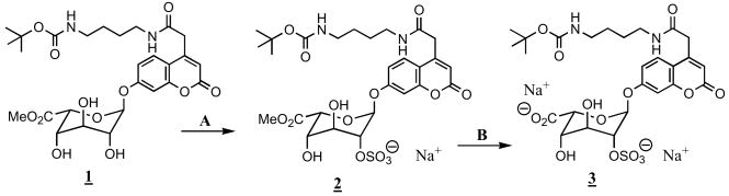 Scheme I