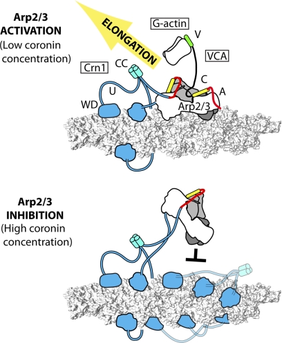 FIGURE 6.