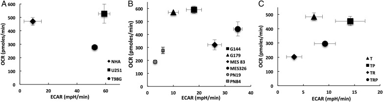 Fig. 1.