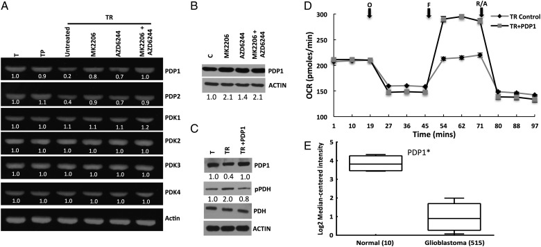 Fig. 4.