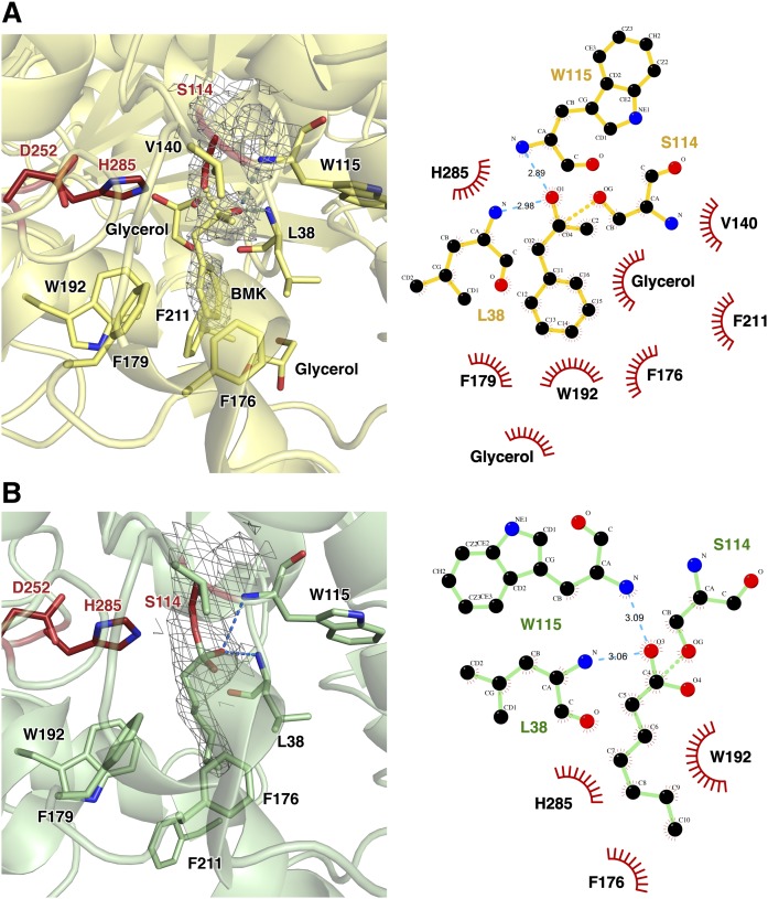 Fig. 7.