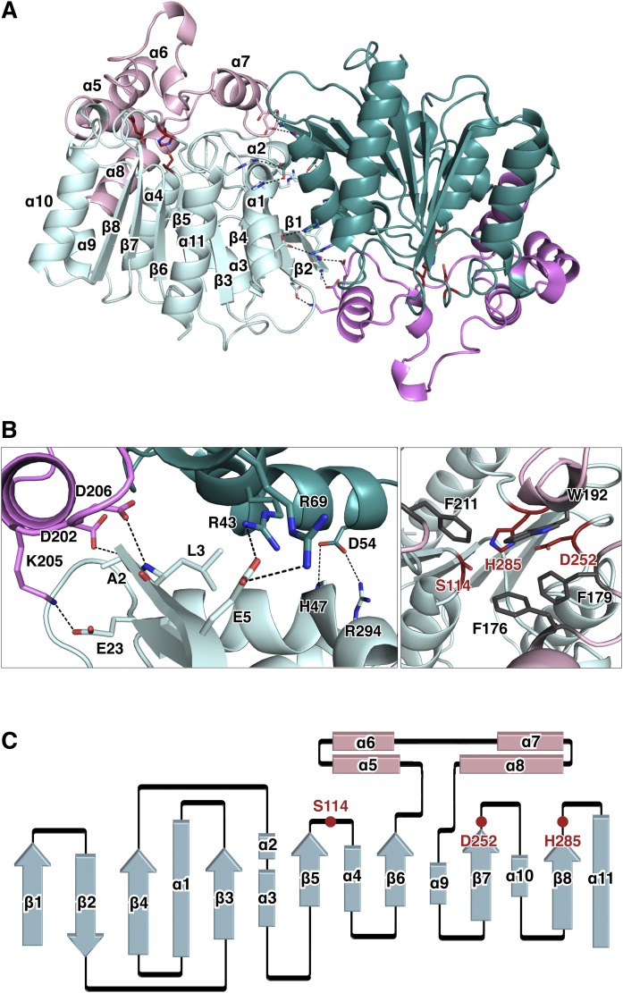 Fig. 1.