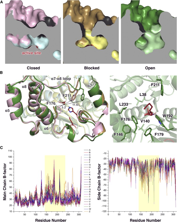 Fig. 6.