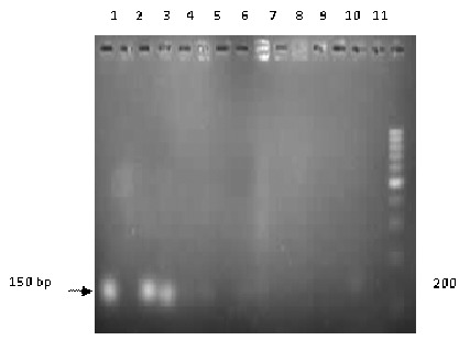 [Table/Fig-2]: