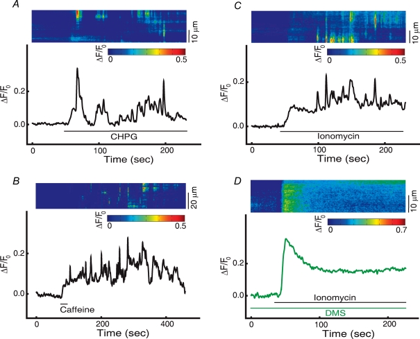 Figure 10